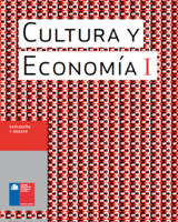 Cultura y Economía en Chile